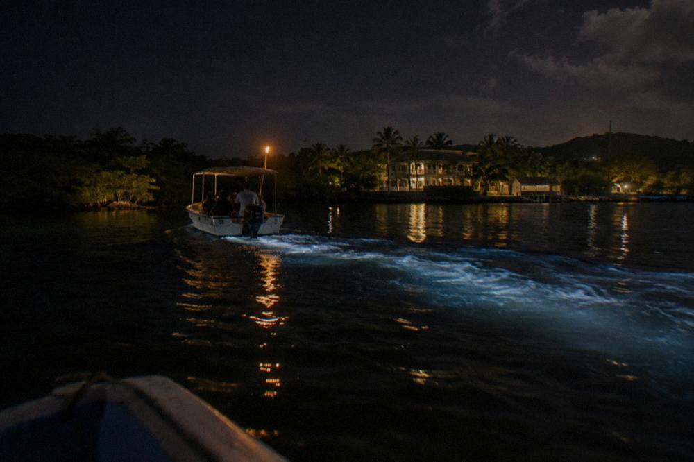 A small open tour boat moving across a dark lagoon leaving a pale glowing trail in the water at night