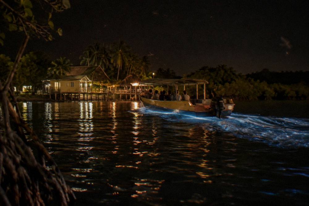 A wooden tour boat moving across dark lagoon water at night leaving a pale wake